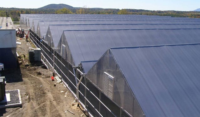 Livestock Roofing image